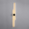 Modern LED Aluminum Double Straight Lines Wall Light 3000K 