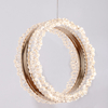 Nice Acrylic Small Circle Ring Pendant Light 3000K For Home Decor