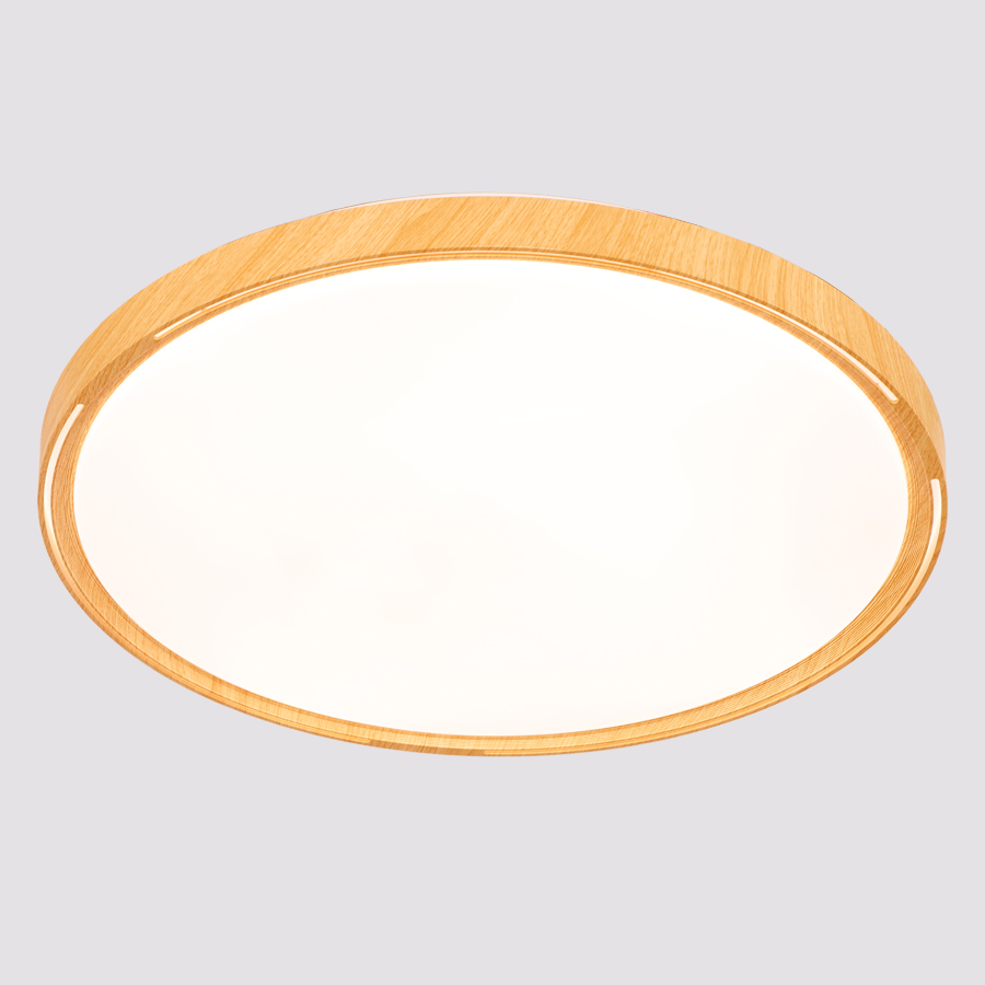Modern Simple Plastic LED Ceiling Light