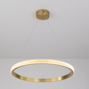 LED Aluminum Acrylic Circle Round Ring Pendant Light One Tier Middle Size