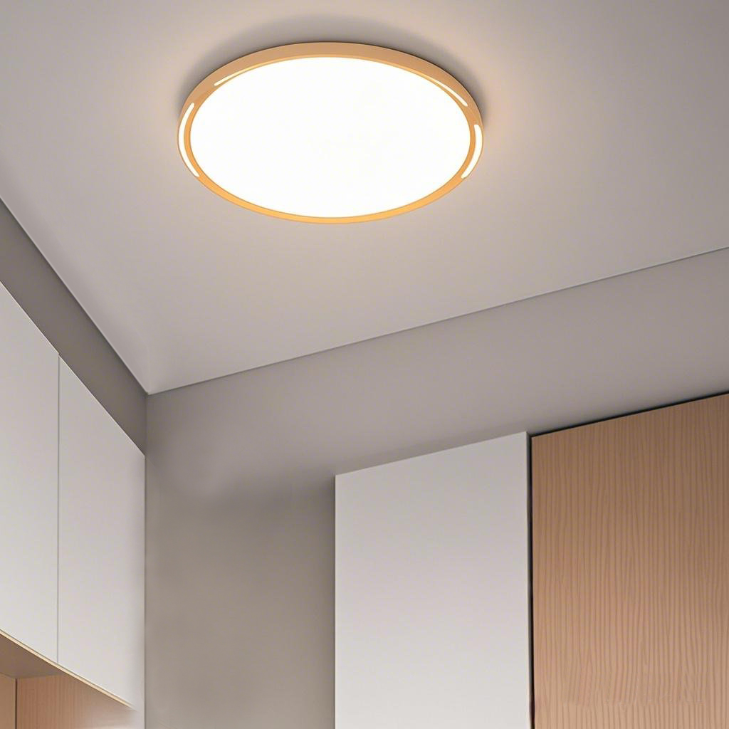 Modern Simple Plastic LED Ceiling Light