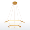 Hexagon Polygonal LED Aluminum Pendant Lamp 2 Rings Gold Color MT-LD066-2GD