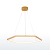 Hexagon Polygonal LED Aluminum Pendant Lamp One Ring Gold Color MT-LD066-1GD