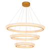 LED Circular Transparent Acrylic Chandelier Two Tiers Bright In Both Sides