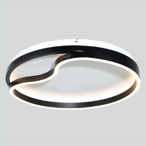 Ceiling Light 