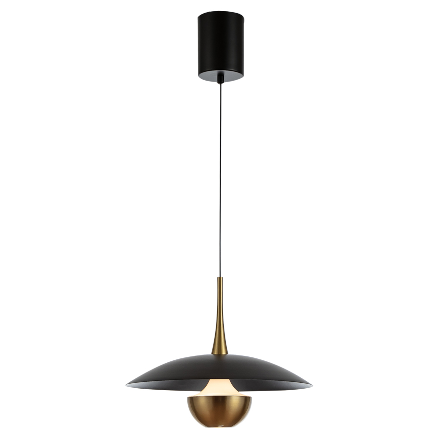 Contemporary LED Pendant Light, Sleek Metal Design