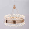 Nice Acrylic Small Circle Ring Pendant Light 3000K For Home Decor