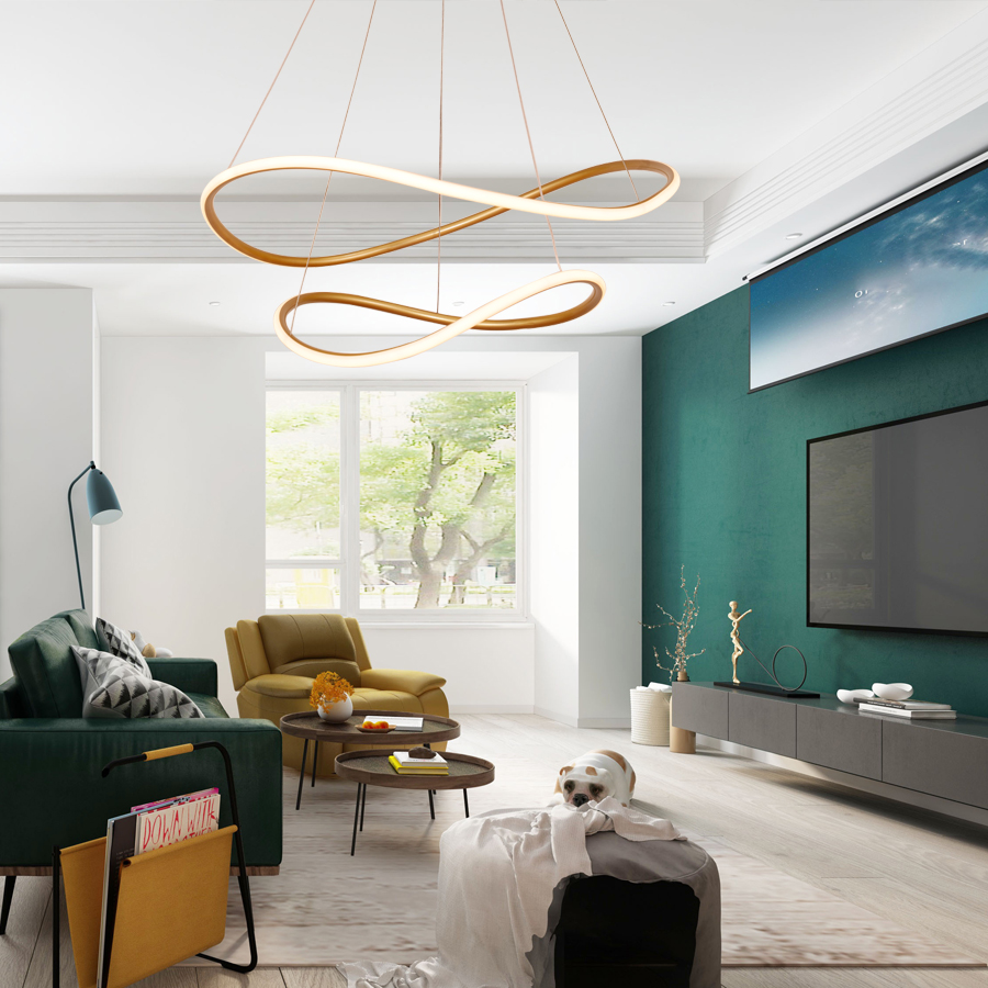 Irregularly Shaped Ring-Shaped LED Aluminum Ceiling Light