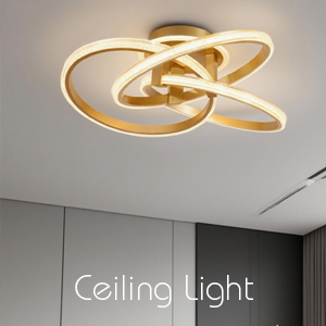 Ceiling Light