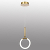 Contemporary Silicone Acrylic LED Pendant Light, Small-Size, Energy Efficient