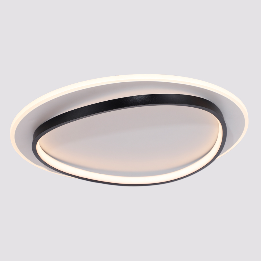 Circular Double Ring LED Ceiling Light, Surface Mount, For Home & Office Use
