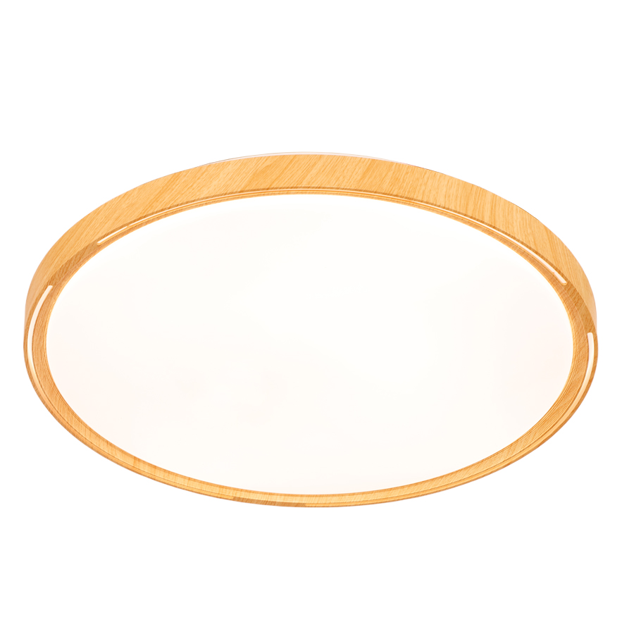 Modern Simple Plastic LED Ceiling Light