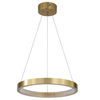 LED Aluminum Acrylic Circle Round Ring Pendant Light One Tier