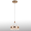 Nice Acrylic Small Circle Ring Pendant Light 3000K For Home Decor