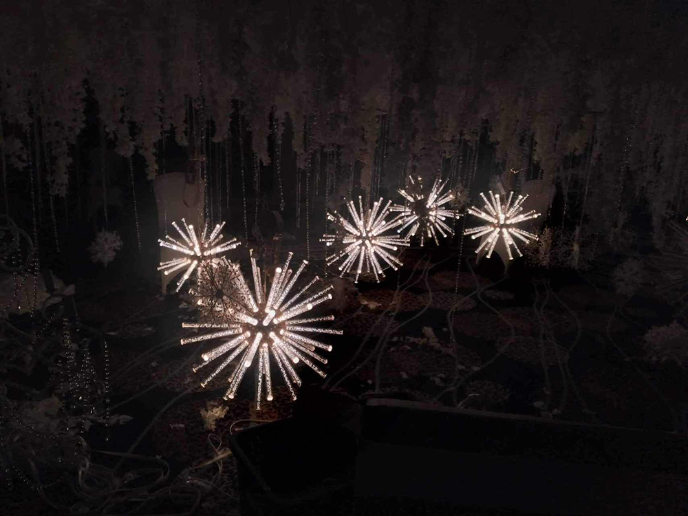 微信图片_20231129114345